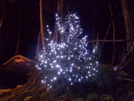 Predstava Božična noč pri Ivanovem izviru 64